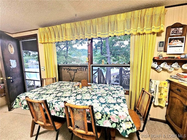 dining room with light colored carpet and a textured ceiling