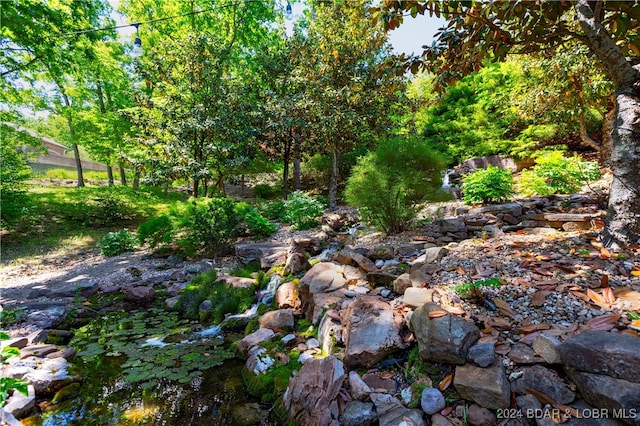 view of local wilderness