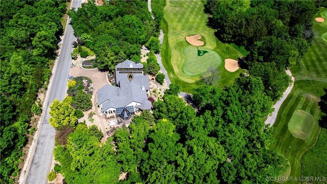 aerial view