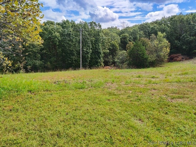 Listing photo 3 for TBD Highway 83, Warsaw MO 65355