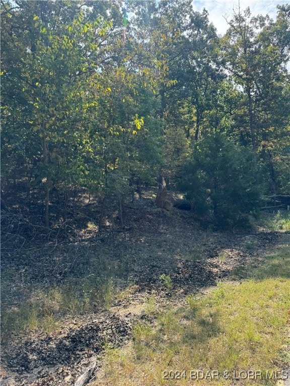 Listing photo 2 for LOT1093 Salem Dr, Four Seasons MO 65049