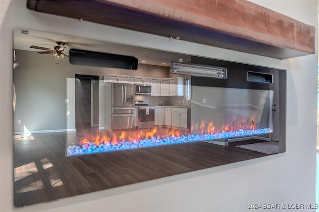 interior space with hardwood / wood-style flooring, ceiling fan, sink, and stainless steel appliances