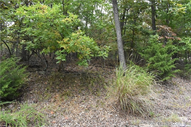 LOT1213 Spring Creek Ct, Sunrise Beach, MO 65079