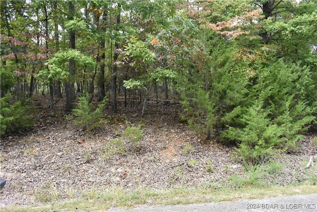 Listing photo 2 for LOT1213 Spring Creek Ct, Sunrise Beach MO 65079