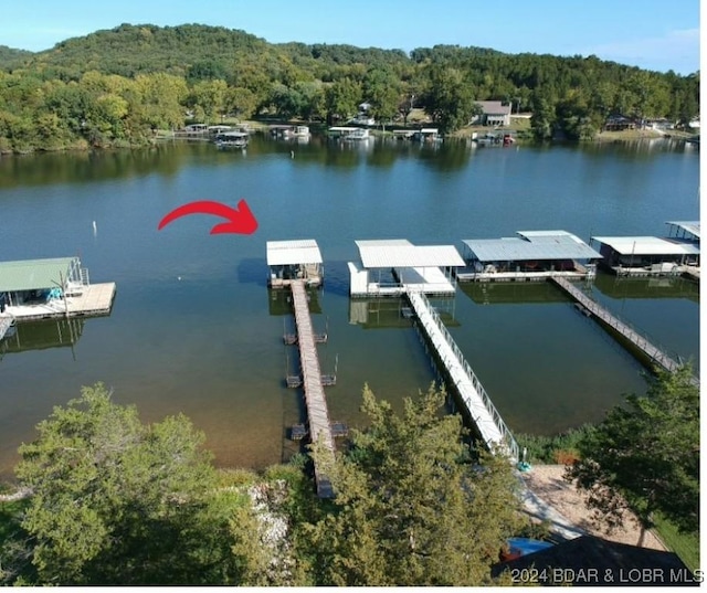 dock area with a water view