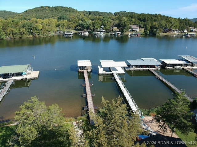 dock area with a water view