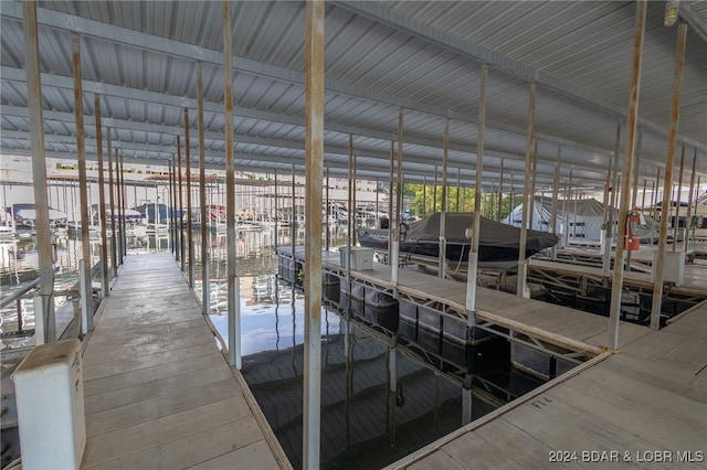 dock area with a water view