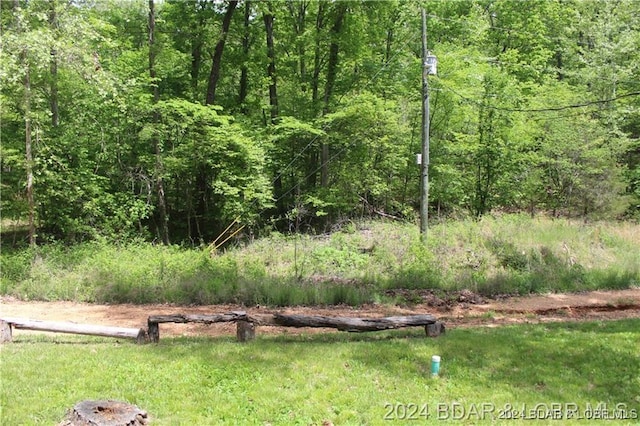 33616 Ray Rd, Stover, MO 65078 - view of yard with a view of trees