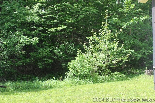 33616 Ray Rd, Stover, MO 65078 - view of wooded area