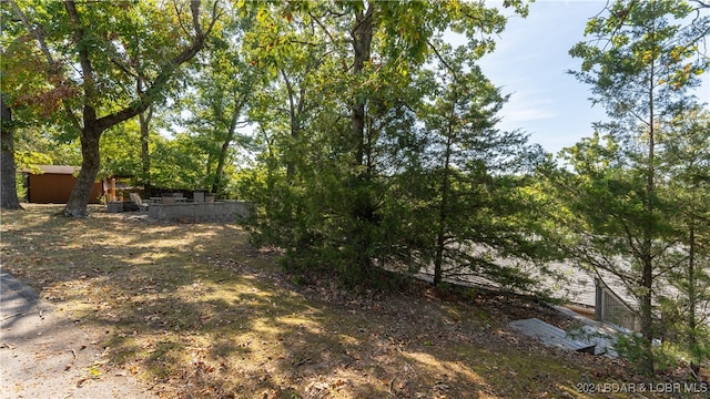 view of yard featuring a storage shed