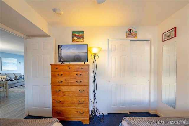 carpeted bedroom featuring a closet