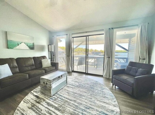 living room with a textured ceiling, lofted ceiling, dark hardwood / wood-style floors, and a healthy amount of sunlight