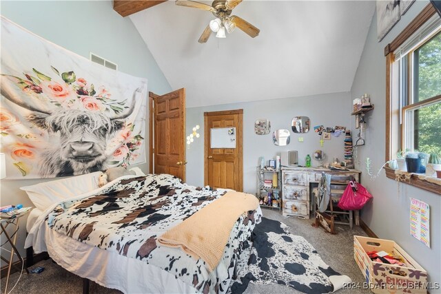 14 Catfish Rd, Tuscumbia, MO 65082 - photo 19