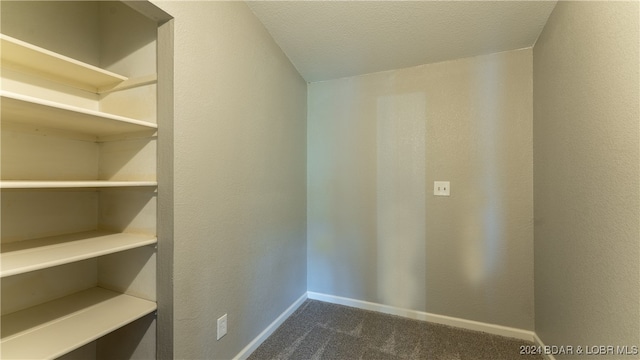 interior space featuring dark colored carpet