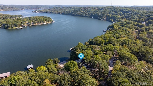 aerial view with a water view