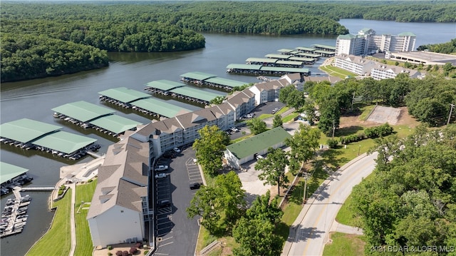 aerial view with a water view