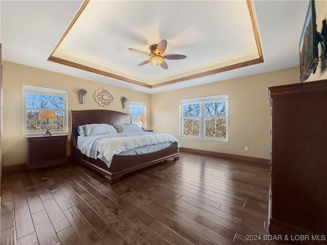 bedroom featuring a raised ceiling, ceiling fan, and dark hardwood / wood-style floors