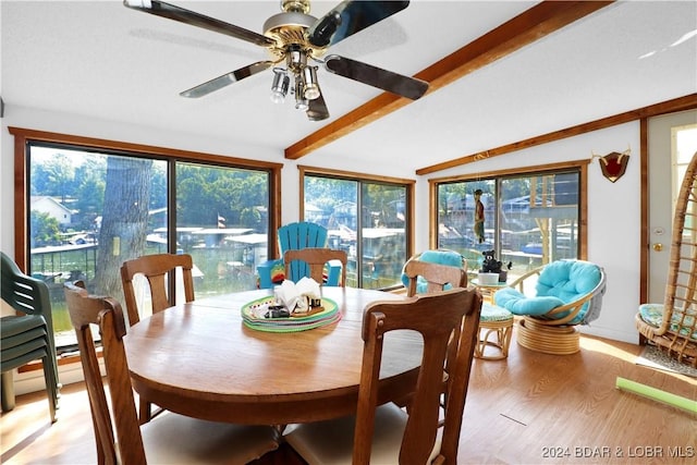 dining room with beam ceiling, ceiling fan, and light hardwood / wood-style floors