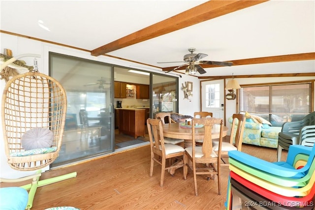 dining room featuring beam ceiling, light hardwood / wood-style flooring, and ceiling fan