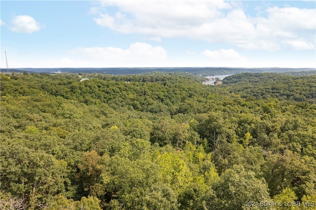 18.13ACRES N State Highway 7, Camdenton, MO 65020 - photo 4