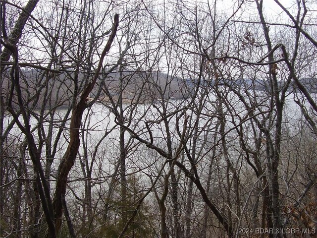 TBD Badger Rd, Stover, MO 65078