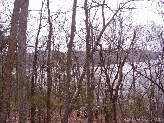 TBD Badger Rd, Stover, MO 65078