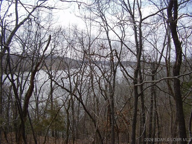 TBD Badger Rd, Stover, MO 65078