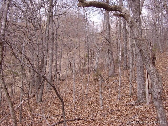 TBD Badger Rd, Stover, MO 65078