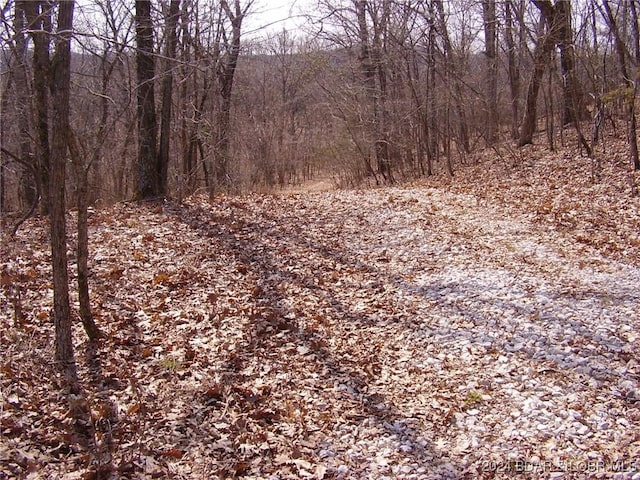 TBD Badger Rd, Stover, MO 65078