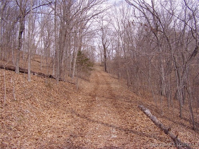 TBD Badger Rd, Stover, MO 65078
