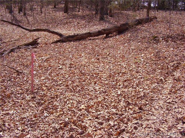 TBD Badger Rd, Stover, MO 65078