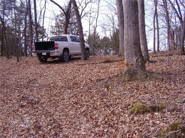 TBD Badger Rd, Stover, MO 65078