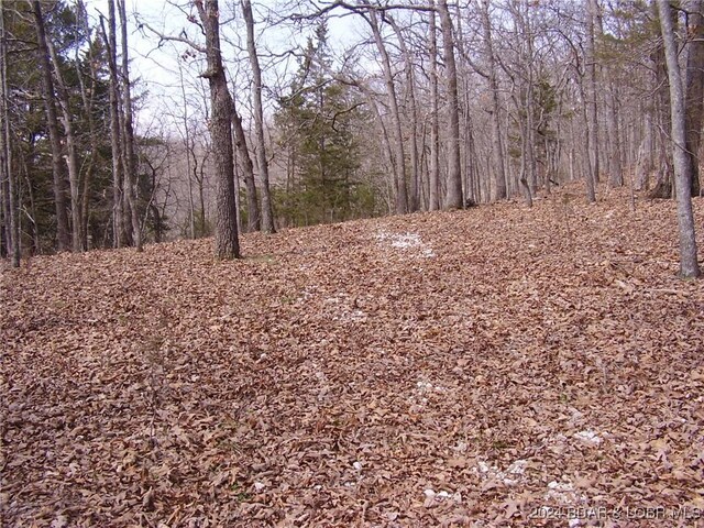 TBD Badger Rd, Stover, MO 65078