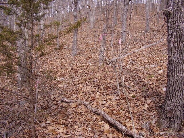 TBD Badger Rd, Stover, MO 65078