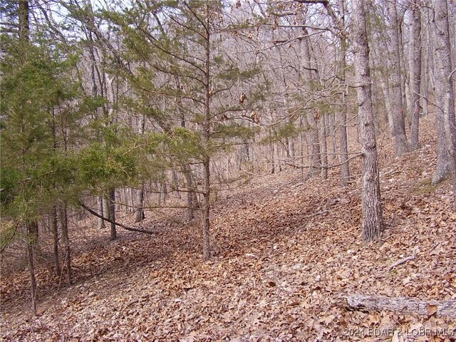 TBD Badger Rd, Stover, MO 65078