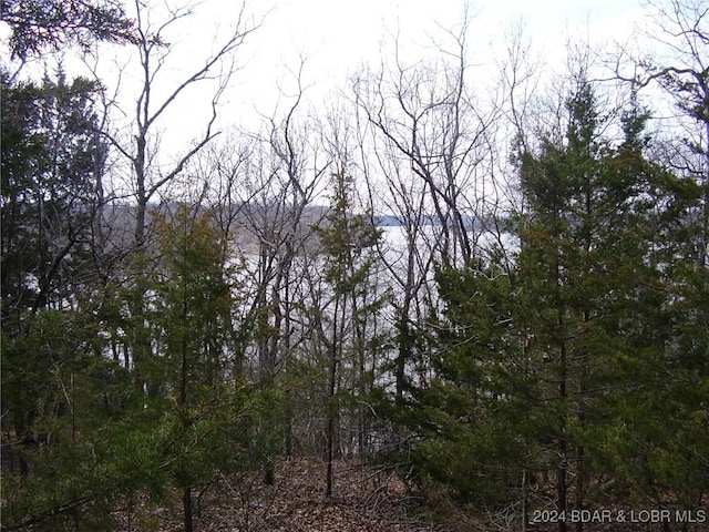 TBD Badger Rd, Stover, MO 65078