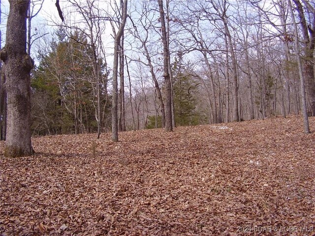 TBD Badger Rd, Stover, MO 65078