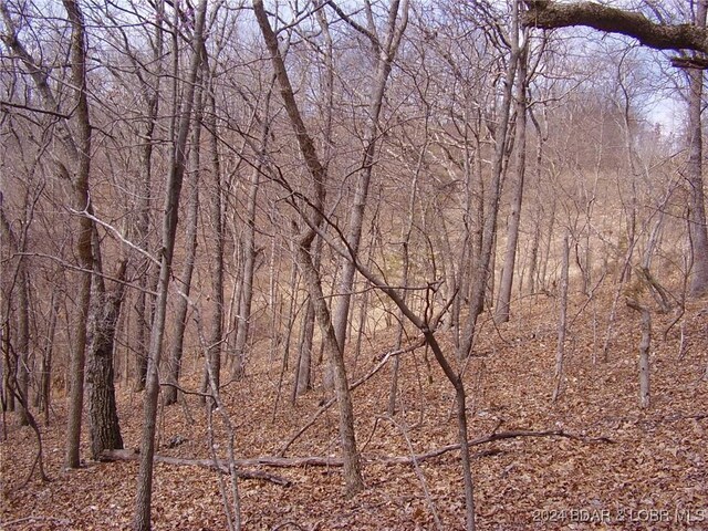 TBD Badger Rd, Stover, MO 65078