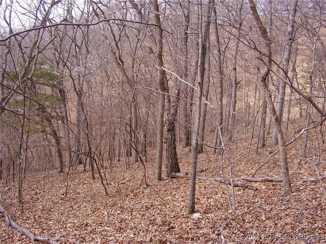 TBD Badger Rd, Stover, MO 65078