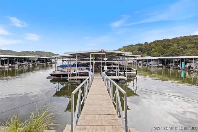 dock area with a water view