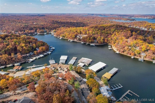 bird's eye view with a water view