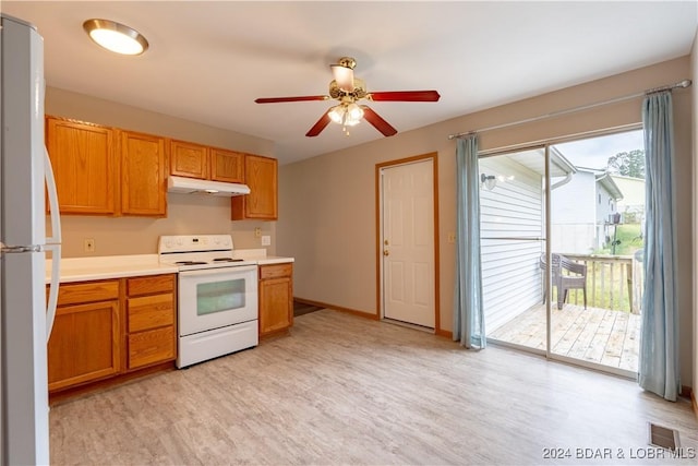 kitchen featuring a wealth of natural light, light hardwood / wood-style flooring, ceiling fan, and white appliances