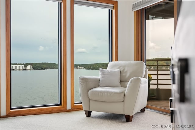 sitting room with light carpet, a water view, and a healthy amount of sunlight