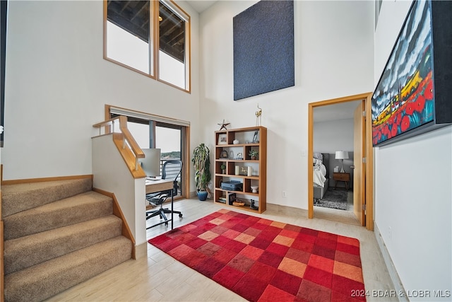 entryway featuring a high ceiling and hardwood / wood-style flooring