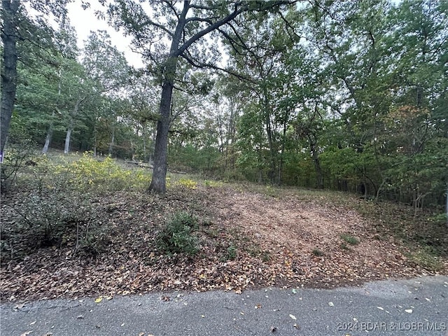 TBD Jet Ski Rd, Sunrise Beach, MO 65079 - photo 1