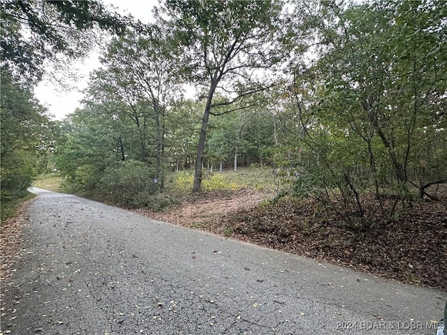 TBD Jet Ski Rd, Sunrise Beach, MO 65079 - photo 4