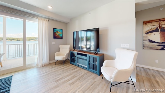 sitting room with light hardwood / wood-style flooring and plenty of natural light