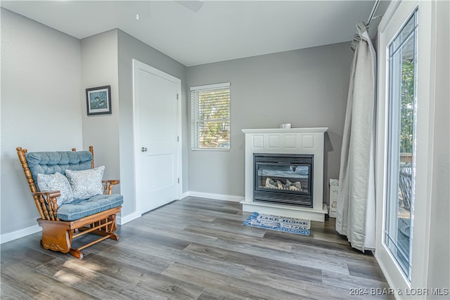 living area featuring hardwood / wood-style floors and a wealth of natural light