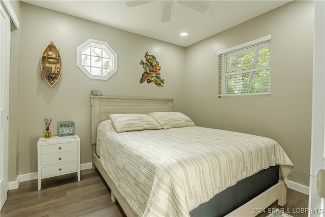 bedroom featuring ceiling fan and dark hardwood / wood-style flooring