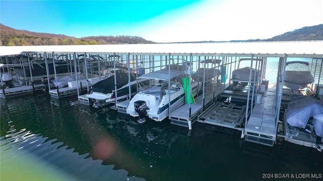 dock area with a water view